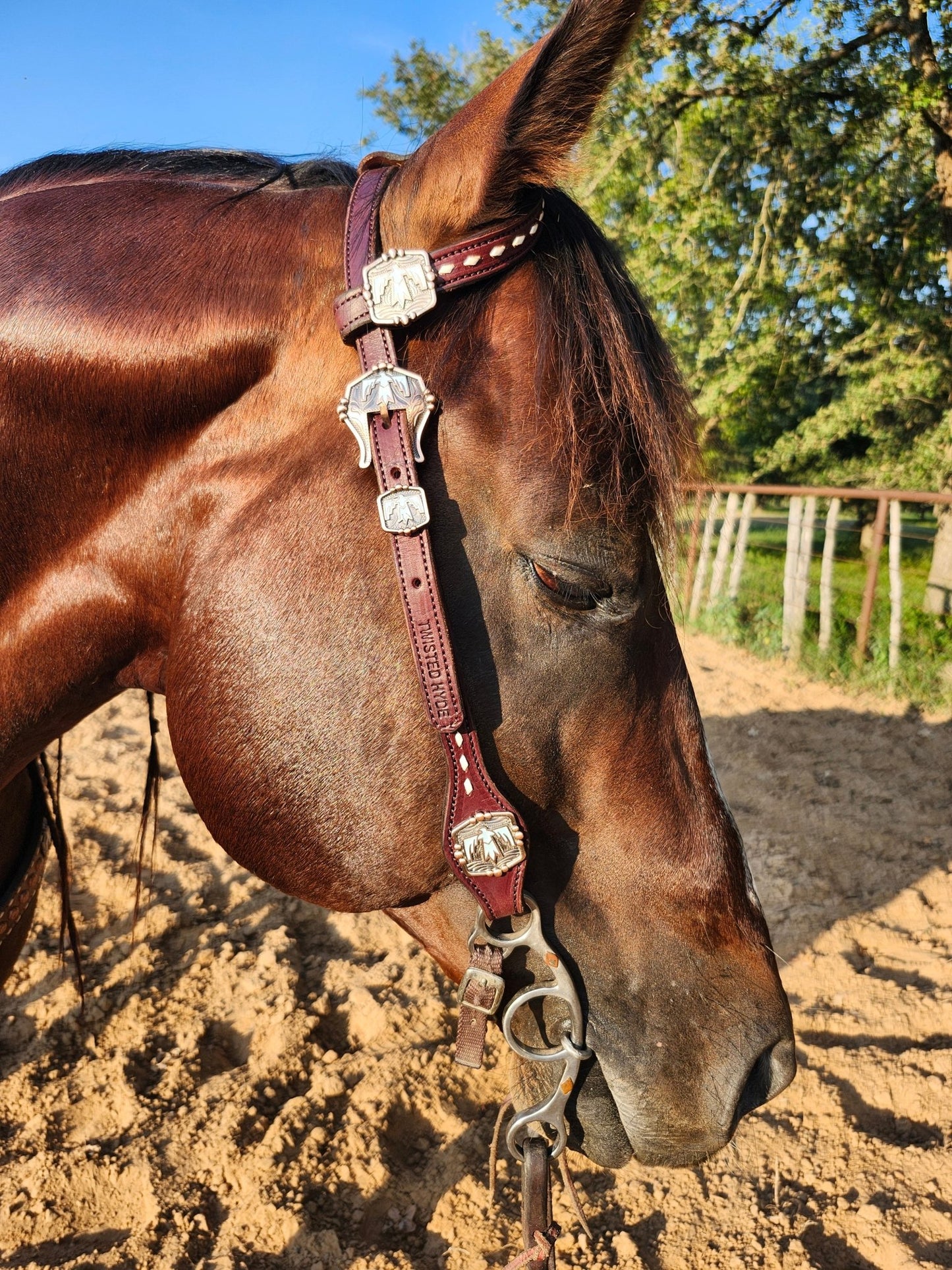 Tack Set English Bridle Thunderbird white lace - Twisted Hyde Leather Co.