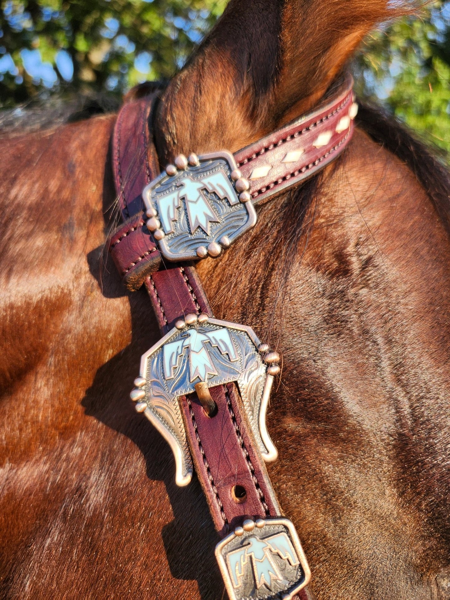 Tack Set English Bridle Thunderbird white lace - Twisted Hyde Leather Co.