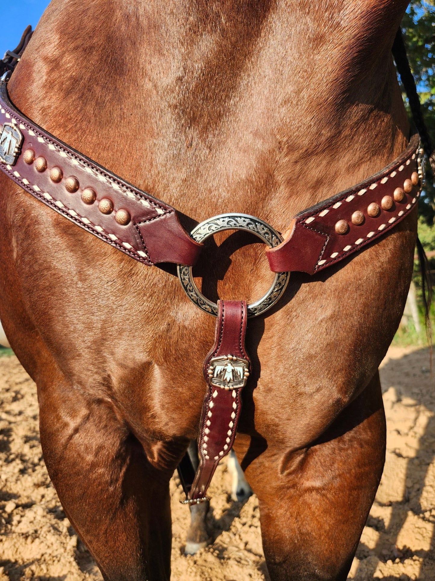 Tack Set English Bridle Thunderbird white lace - Twisted Hyde Leather Co.