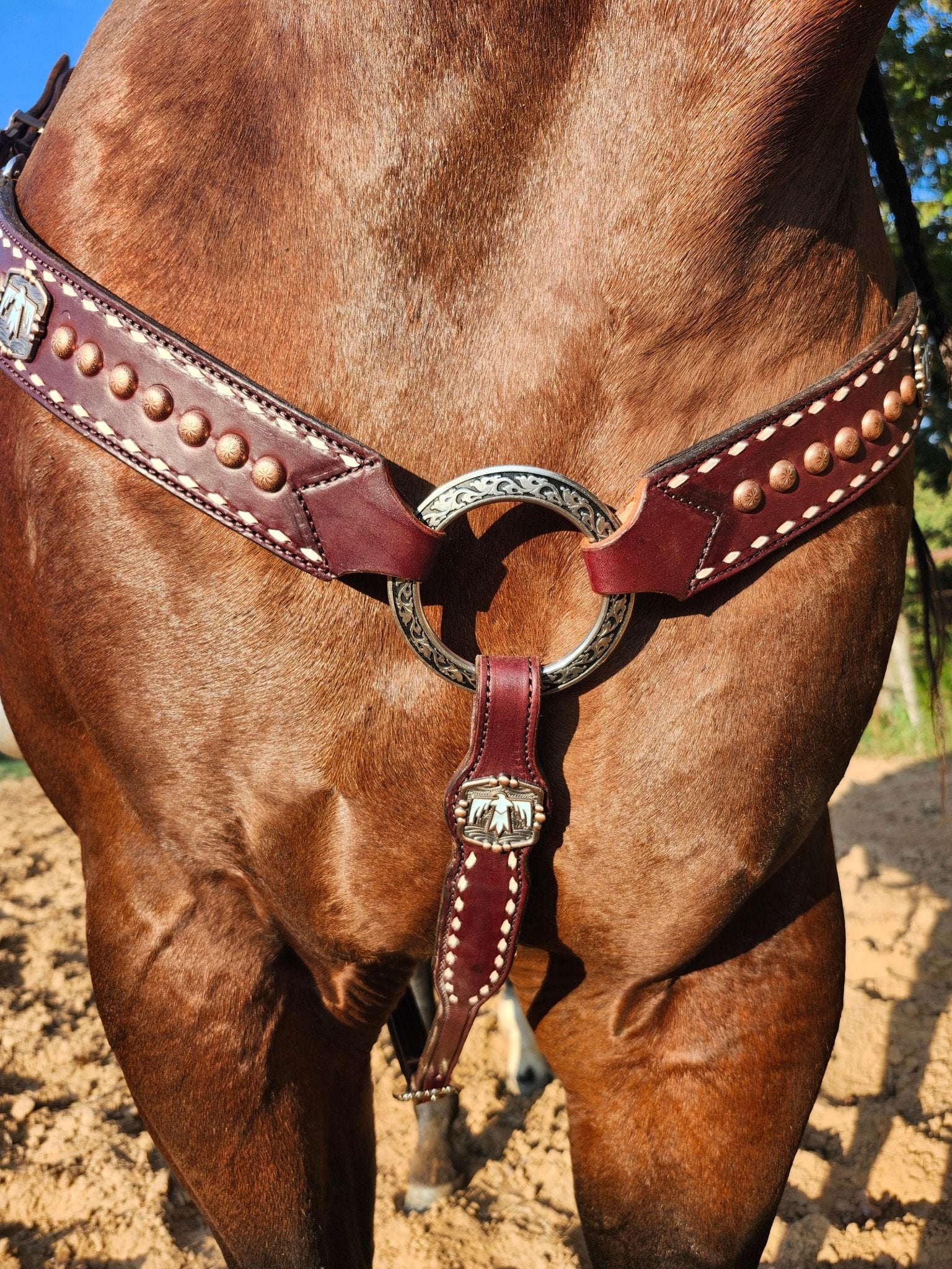 Tack Set English Bridle Thunderbird white lace - Twisted Hyde Leather Co.